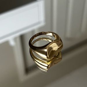 Jenny Bird Dee Signet Ring